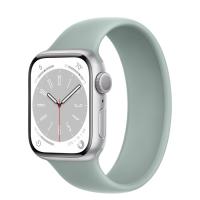 Apple Watch Series 8 45мм серебристый серебристый корпус из алюминия и ремешок Solo Loop Succulent
