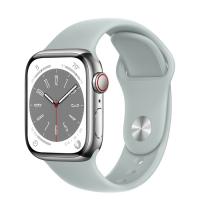 Apple Watch Series 8 45мм серебристый корпус из нержавеющей стали и ремешок Sport Band Succulent