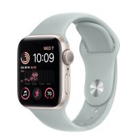 Apple Watch Series SE 2022 44мм корпус из алюминия "сияющая звезда" и ремешок Sport Band Succulent