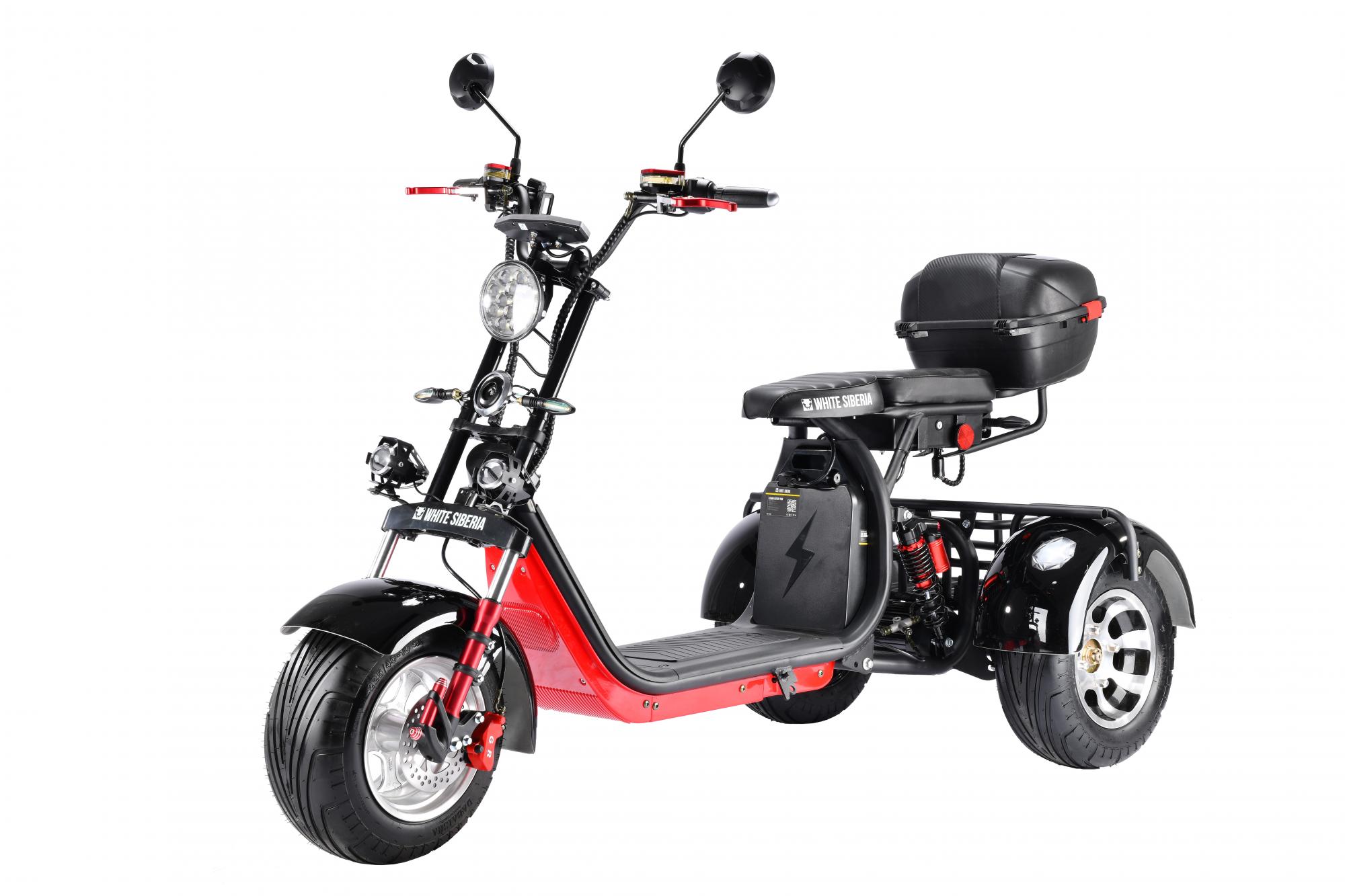 Купить двухместный электроскутер. WS-Pro Trike+ 3000w. Citycoco Trike Pro 12. Citycoco 3000w. Citycoco WS Pro Trike 3000 w.