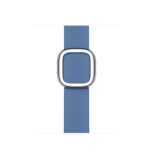 Apple Watch Series 8 41мм серебристый корпус из нержавеющей стали и ремешок Modern Buckle Azure