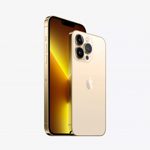 iPhone 13 Pro Max 1TB - Золотой