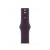 Apple Watch Series SE 2022 44мм корпус из алюминия "сияющая звезда" и ремешок Sport Band  Elderberry