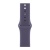 Умные часы Apple Watch Series 11, 42mm, Silver Aluminium Purple Fog Sport Band