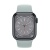 Apple Watch Series 8 45мм корпус из алюминия "полночь" и ремешок Sport Band Succulent