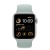Apple Watch Series SE 2022 44мм серебристый корпус из алюминия и ремешок Solo Loop Succulent