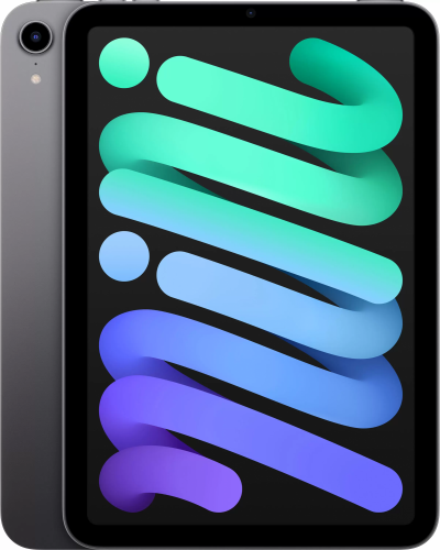 iPad Mini 2021 Wi-Fi 256GB - Серый космос