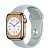 Apple Watch Series 8 41мм золотой корпус из нержавеющей стали и ремешок Sport Band Succulent