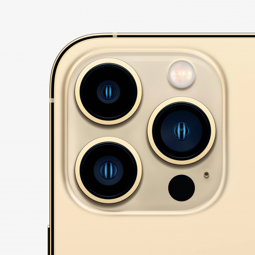 iPhone 13 Pro Max 1TB - Золотой