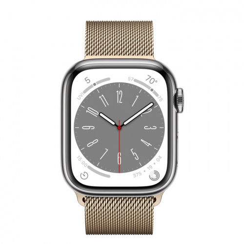 Apple Watch Series 8 41мм серебристый корпус из нержавеющей стали и ремешок Milanese Loop Gold