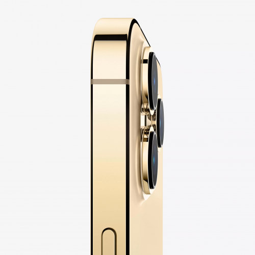iPhone 13 Pro Max 1TB - Золотой