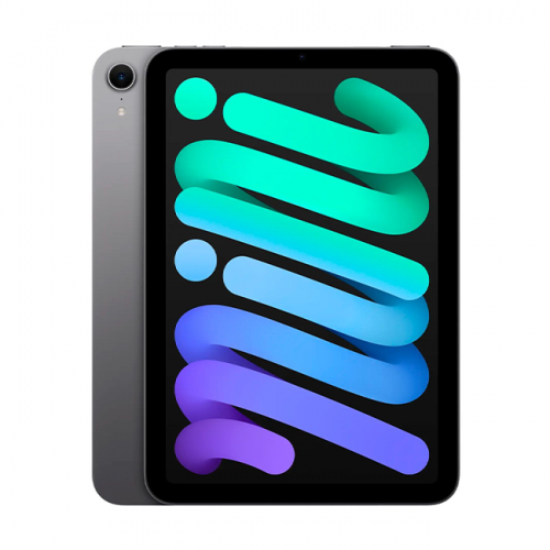 iPad Mini 2024 Wi‑Fi + Cellular 256GB - Серый космос