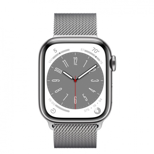 Apple Watch Series 8 41мм серебристый корпус из нержавеющей стали и ремешок Milanese Loop Silver