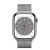 Apple Watch Series 8 41мм серебристый корпус из нержавеющей стали и ремешок Milanese Loop Silver