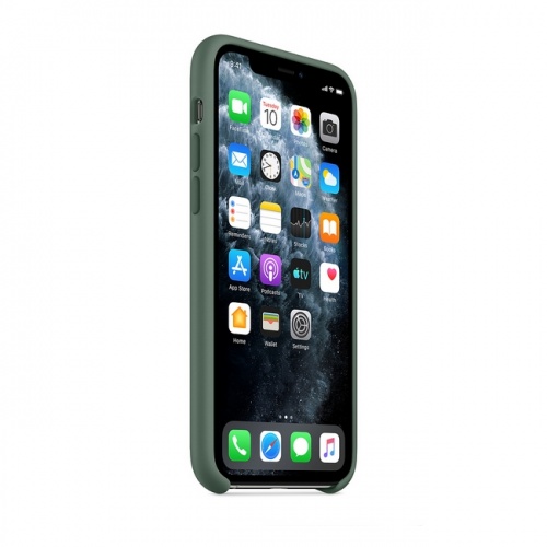 Чехол Apple Silicone Case для iPhone 11 Pro, цвет «сосновый лес»