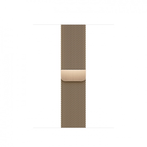 Apple Watch Series 8 45мм серебристый корпус из нержавеющей стали и ремешок Milanese Loop Gold